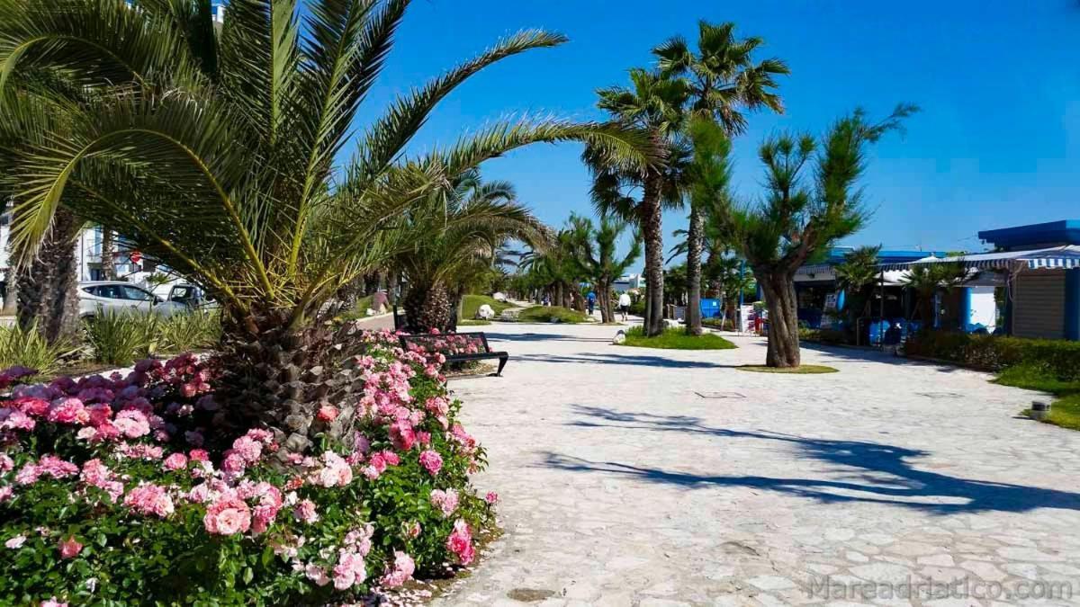 B&B Al Fiume Colonnella Dış mekan fotoğraf